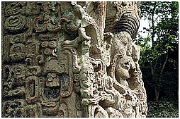 Estela maya