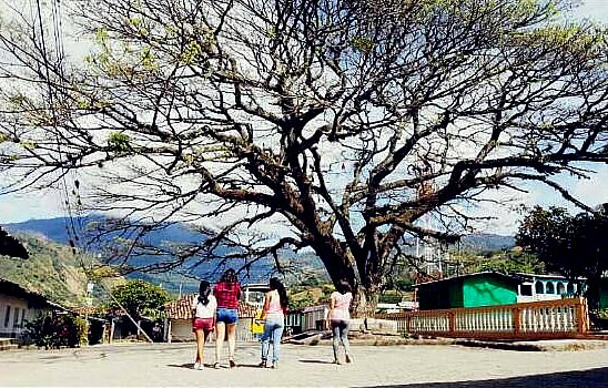 Paseo por el parque municipal