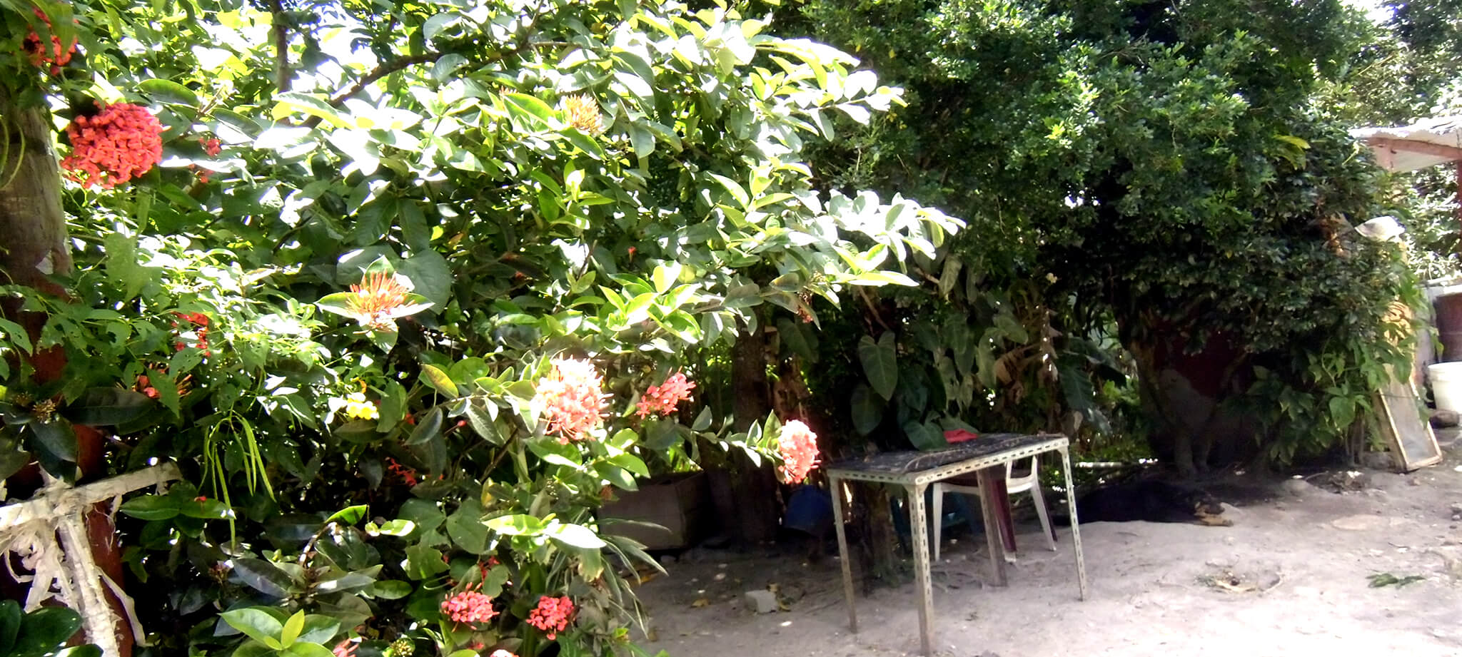 El jardin del hogar