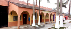 Alcaldia Municipal